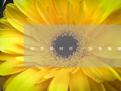 网贷按时还 没有逾期 网贷按时还 没有逾期